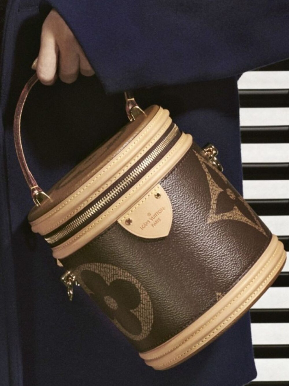Like NEW!!! Rare! Louis Vuitton Cannes Monogram Giant Brown LV With COA & Lock! - Picture 6 of 16